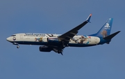 SunExpress Boeing 737-8HC (TC-SNN) at  Hamburg - Fuhlsbuettel (Helmut Schmidt), Germany