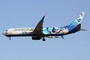 SunExpress Boeing 737-8HC (TC-SNU) at  Frankfurt am Main, Germany