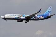 SunExpress Boeing 737-8HC (TC-SNU) at  Frankfurt am Main, Germany