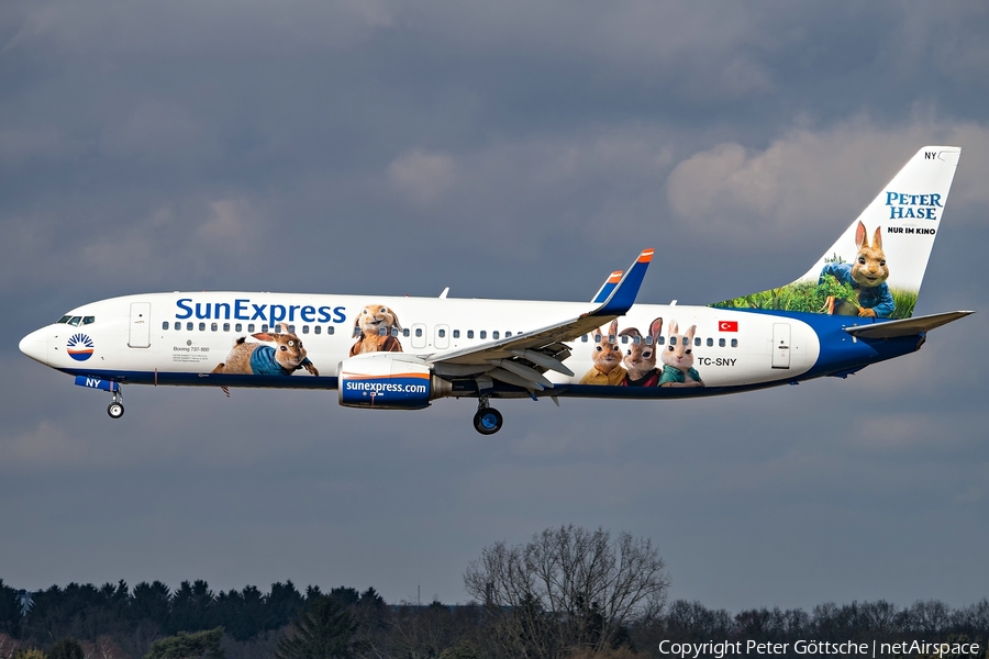 SunExpress Boeing 737-8K5 (TC-SNY) | Photo 226739