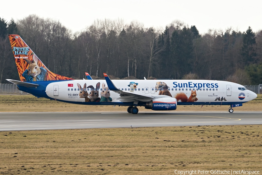 SunExpress Boeing 737-8K5 (TC-SNY) | Photo 226740