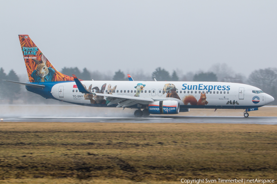 SunExpress Boeing 737-8K5 (TC-SNY) | Photo 226861