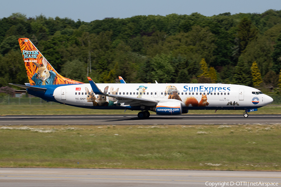 SunExpress Boeing 737-8K5 (TC-SNY) | Photo 245035