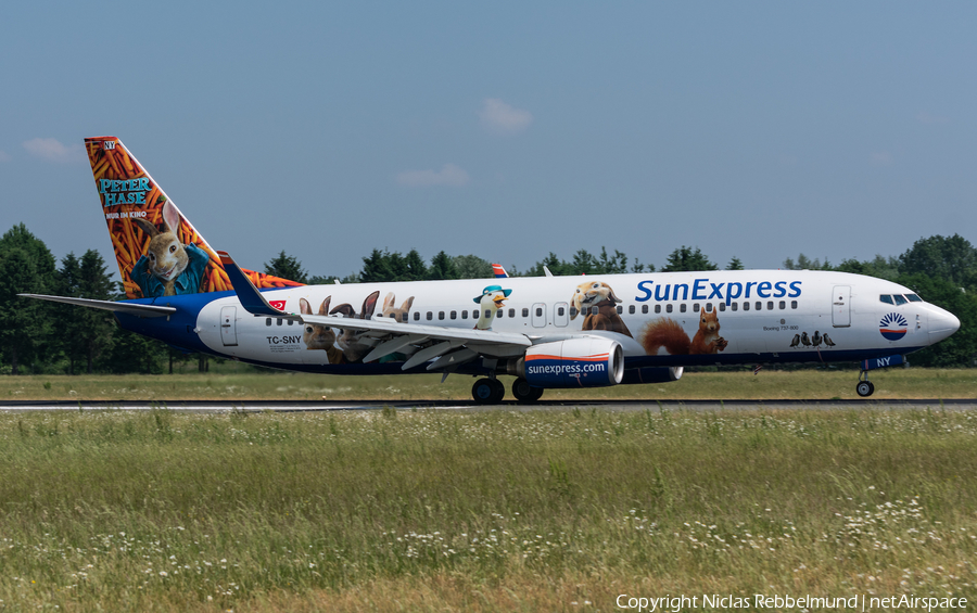 SunExpress Boeing 737-8K5 (TC-SNY) | Photo 246063