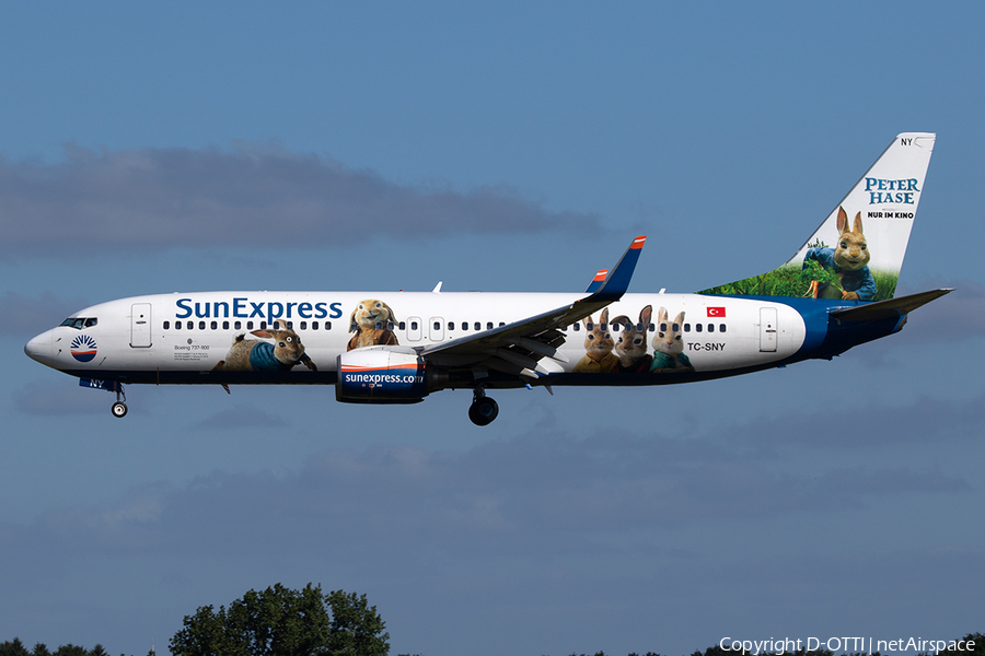 SunExpress Boeing 737-8K5 (TC-SNY) | Photo 251338
