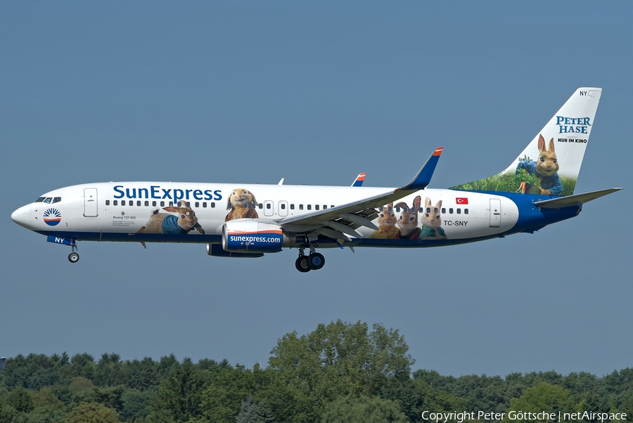 SunExpress Boeing 737-8K5 (TC-SNY) | Photo 260774