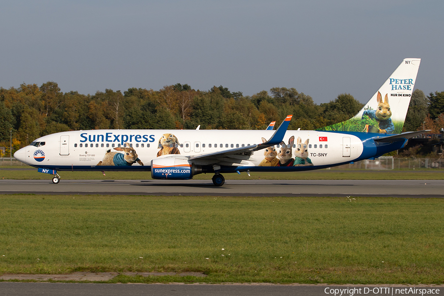 SunExpress Boeing 737-8K5 (TC-SNY) | Photo 267775