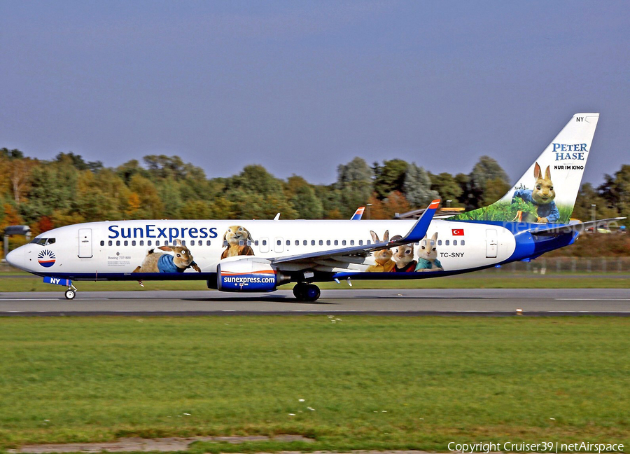 SunExpress Boeing 737-8K5 (TC-SNY) | Photo 316654