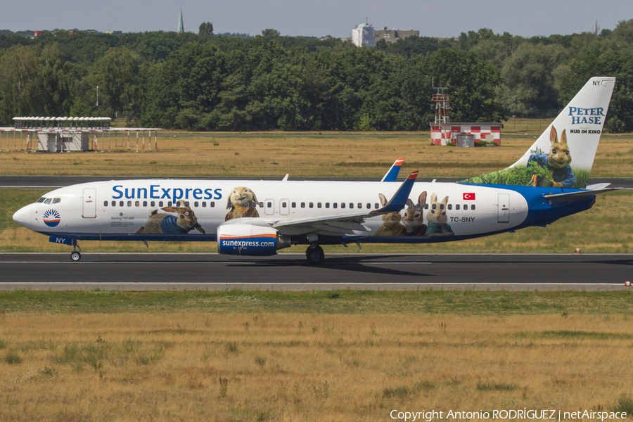 SunExpress Boeing 737-8K5 (TC-SNY) | Photo 496724