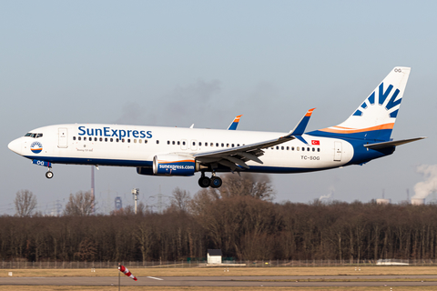 SunExpress Boeing 737-8HC (TC-SOG) at  Dusseldorf - International, Germany