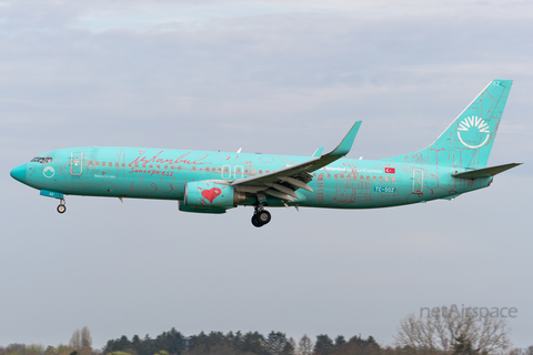 SunExpress Boeing 737-8HX (TC-SOZ) at  Hamburg - Fuhlsbuettel (Helmut Schmidt), Germany