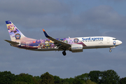 SunExpress Boeing 737-8HC (TC-SPE) at  Hamburg - Fuhlsbuettel (Helmut Schmidt), Germany