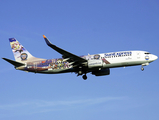 SunExpress Boeing 737-8HC (TC-SPE) at  Hamburg - Fuhlsbuettel (Helmut Schmidt), Germany