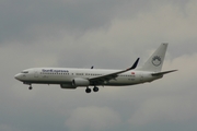 SunExpress Boeing 737-86N (TC-SUY) at  Frankfurt am Main, Germany