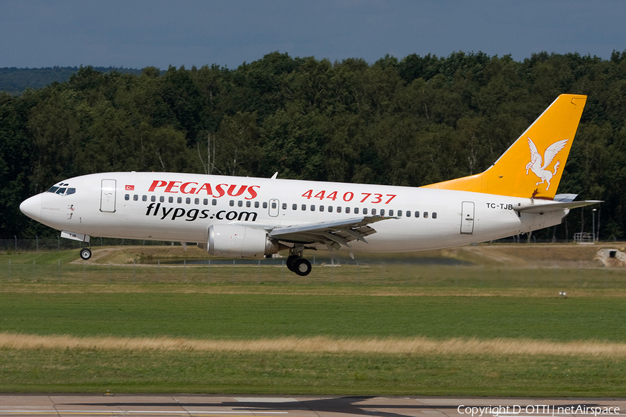 Pegasus Airlines Boeing 737-3Q8 (TC-TJB) | Photo 268092