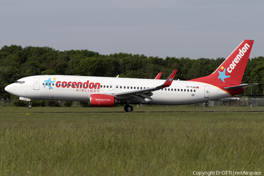 Corendon Airlines Boeing 737-8HX (TC-TJU) | Photo 567504