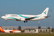 Tailwind Airlines Boeing 737-4Q8 (TC-TLD) at  Berlin Brandenburg, Germany