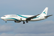 Tailwind Airlines Boeing 737-4Q8 (TC-TLE) at  Hamburg - Fuhlsbuettel (Helmut Schmidt), Germany