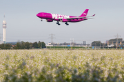 WOW Air Airbus A330-343X (TF-GAY) at  Amsterdam - Schiphol, Netherlands