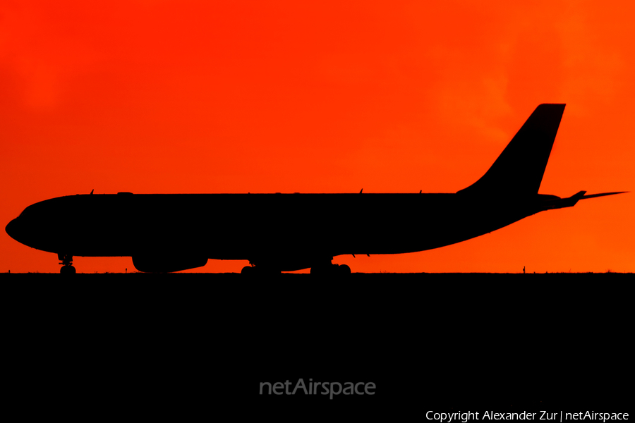 WOW Air Airbus A330-343X (TF-GAY) | Photo 129356