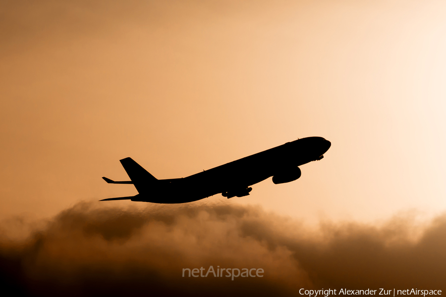WOW Air Airbus A330-343X (TF-GAY) | Photo 129358