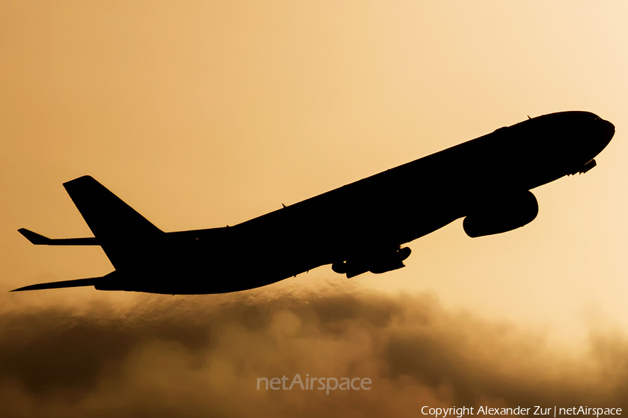 WOW Air Airbus A330-343X (TF-GAY) | Photo 147674