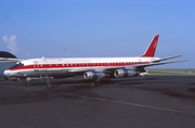 Cargolux Douglas DC-8-54(CF) (TF-GCV) at  Luxembourg - Findel, Luxembourg