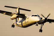 Flugfelag Islands de Havilland Canada DHC-8-202Q (TF-JMG) at  Reykjavik, Iceland