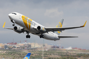 Primera Air Boeing 737-809 (TF-JXI) at  Tenerife Sur - Reina Sofia, Spain