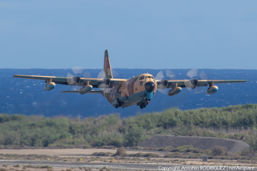 Spanish Air Force (Ejército del Aire) Lockheed KC-130H Hercules (TK.10-05) | Photo 413646