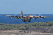 Spanish Air Force (Ejército del Aire) Lockheed KC-130H Hercules (TK.10-05) at  Gran Canaria, Spain