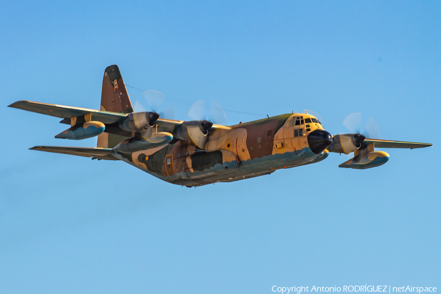 Spanish Air Force (Ejército del Aire) Lockheed KC-130H Hercules (TK.10-05) | Photo 416913