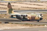 Spanish Air Force (Ejército del Aire) Lockheed KC-130H Hercules (TK.10-05) at  Gran Canaria, Spain