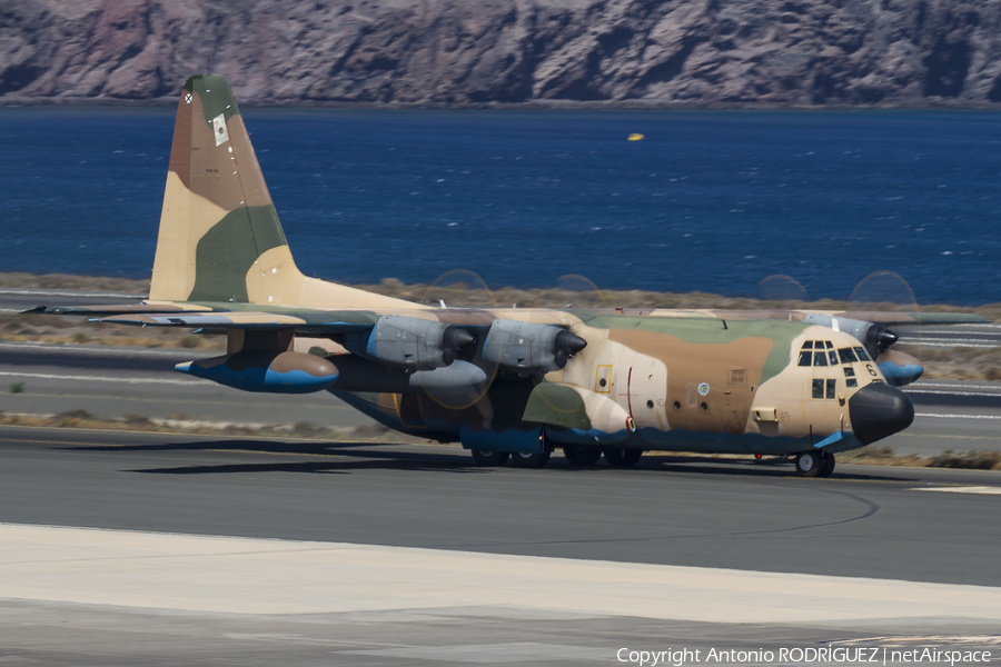 Spanish Air Force (Ejército del Aire) Lockheed KC-130H Hercules (TK.10-06) | Photo 179412