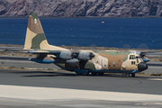 Spanish Air Force (Ejército del Aire) Lockheed KC-130H Hercules (TK.10-06) at  Gran Canaria, Spain