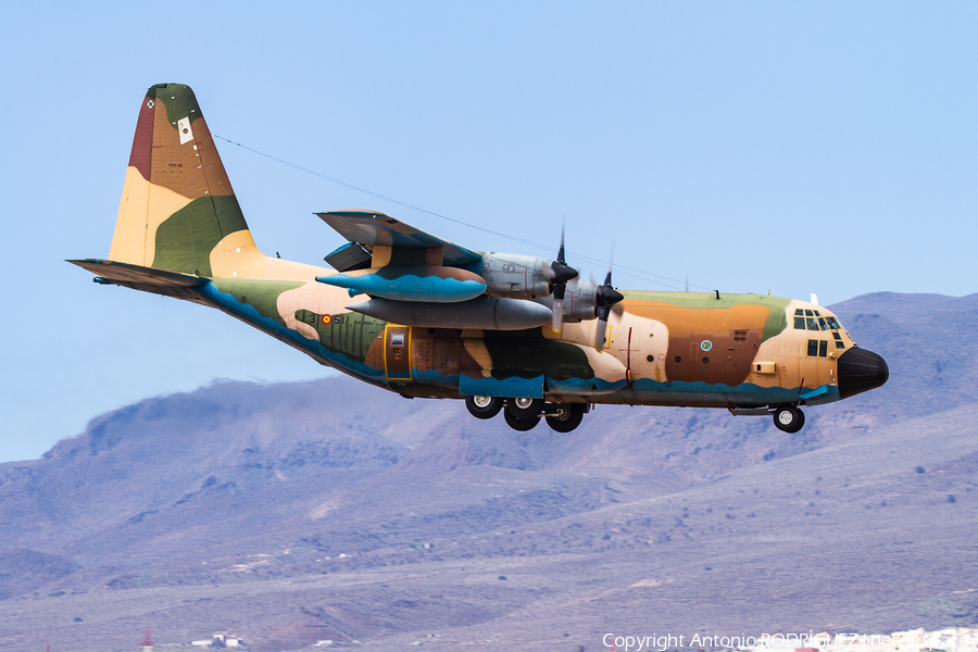 Spanish Air Force (Ejército del Aire) Lockheed KC-130H Hercules (TK.10-06) | Photo 405941