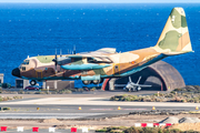 Spanish Air Force (Ejército del Aire) Lockheed KC-130H Hercules (TK.10-06) at  Gran Canaria, Spain