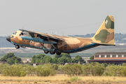 Spanish Air Force (Ejército del Aire) Lockheed KC-130H Hercules (TK.10-06) at  Zaragoza, Spain