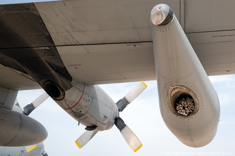 Spanish Air Force (Ejército del Aire) Lockheed KC-130H Hercules (TK.10-07) | Photo 338014
