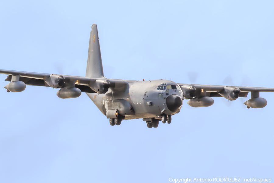 Spanish Air Force (Ejército del Aire) Lockheed KC-130H Hercules (TK.10-11) | Photo 135584