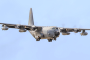 Spanish Air Force (Ejército del Aire) Lockheed KC-130H Hercules (TK.10-11) at  Gran Canaria, Spain