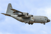 Spanish Air Force (Ejército del Aire) Lockheed KC-130H Hercules (TK.10-11) at  Gran Canaria, Spain