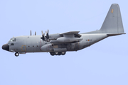 Spanish Air Force (Ejército del Aire) Lockheed KC-130H Hercules (TK.10-11) at  Gran Canaria, Spain