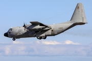 Spanish Air Force (Ejército del Aire) Lockheed KC-130H Hercules (TK.10-11) at  Gran Canaria, Spain