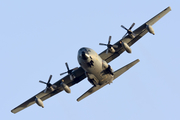 Spanish Air Force (Ejército del Aire) Lockheed KC-130H Hercules (TK.10-11) at  Gran Canaria, Spain