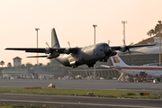 Spanish Air Force (Ejército del Aire) Lockheed KC-130H Hercules (TK.10-12) at  Tenerife Norte - Los Rodeos, Spain