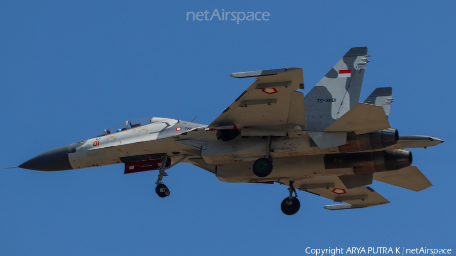 Indonesian Air Force (TNI-AU) Sukhoi Su-30MK2 Flanker-G (TS-3001) | Photo 451585
