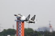 Indonesian Air Force (TNI-AU) Sukhoi Su-30MK2 Flanker-G (TS-3010) at  Jakarta - Halim Perdanakusuma International, Indonesia