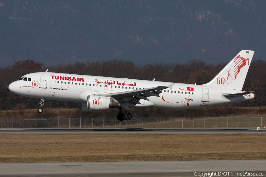 Tunisair Airbus A320-211 (TS-IMB) | Photo 272152