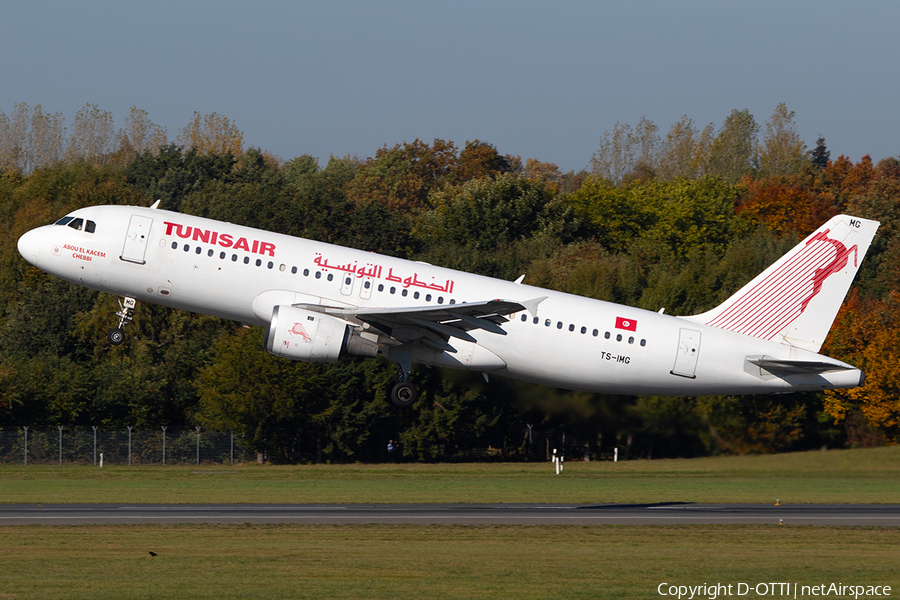 Tunisair Airbus A320-211 (TS-IMG) | Photo 269297